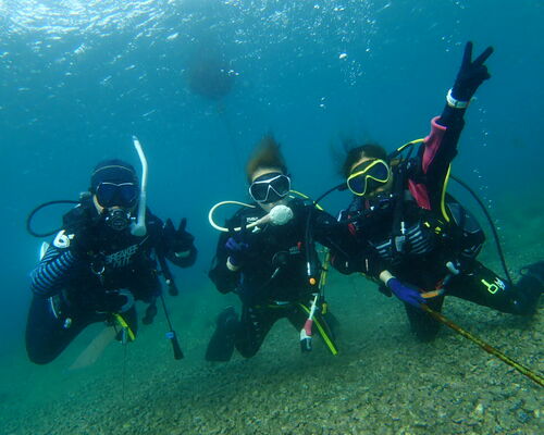 7DECE28C-78D6-423E-BA20-03E74A6F08CB