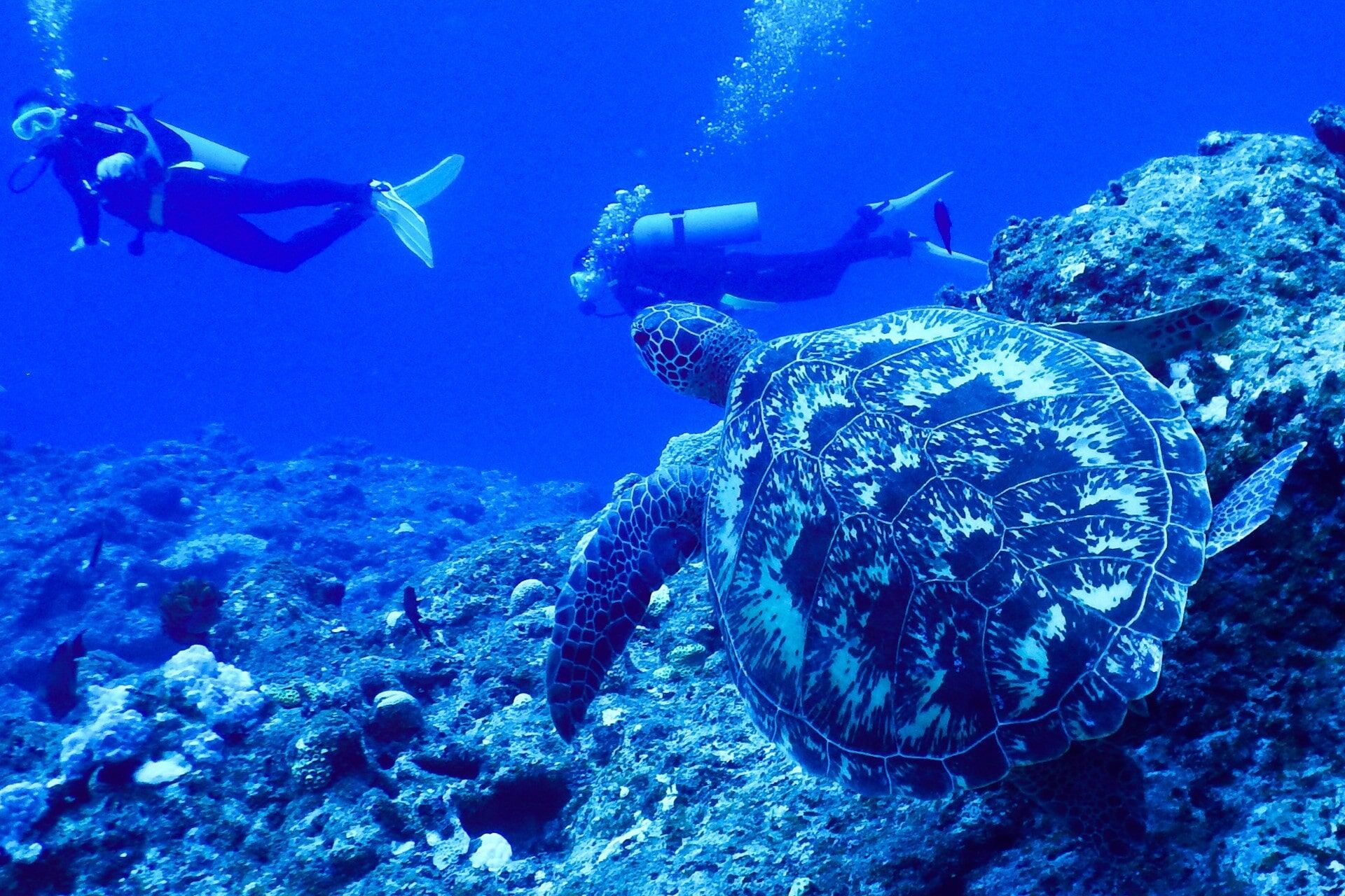 AdobeStock_122287541-min