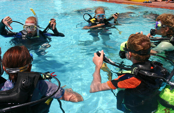 スクールとしても確かな実績がございますのでぜひご利用ください | 静岡のスキューバダイビングショップ アバロ