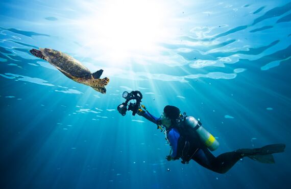 観光として学生様から高い人気を誇っている実績がございます | 静岡のスキューバダイビングショップ アバロ