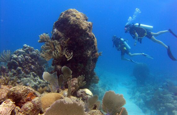 ダイバーとしてのライセンスや資格の取得を目指したい方に最適 | 静岡のスキューバダイビングショップ アバロ