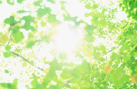 静岡でダイビングならお任せください！ライセンスの取得も可能です！