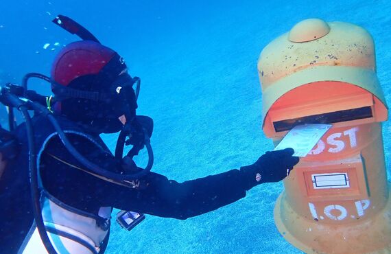 静岡でダイビングライセンスを取得するならダイビングショップアバロ